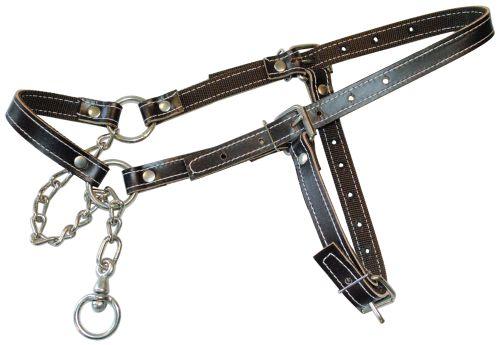 121-703.jpg