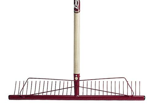 422-275.jpg