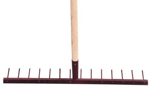 422-278.jpg