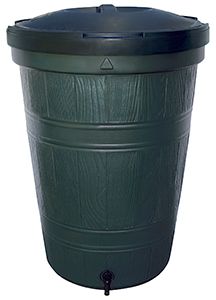 446-650.jpg